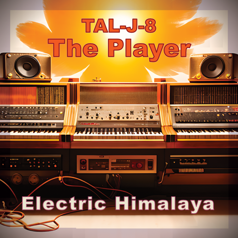 The Player